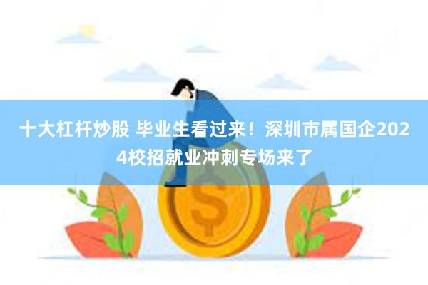 十大杠杆炒股 毕业生看过来！深圳市属国企2024校招就业冲刺专场来了