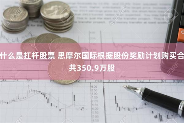 什么是扛杆股票 思摩尔国际根据股份奖励计划购买合共350.9万股