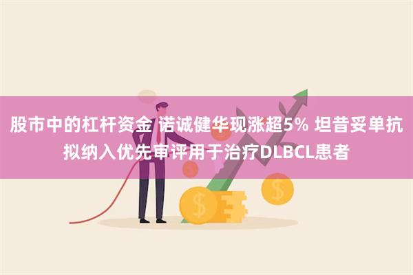 股市中的杠杆资金 诺诚健华现涨超5% 坦昔妥单抗拟纳入优先审评用于治疗DLBCL患者