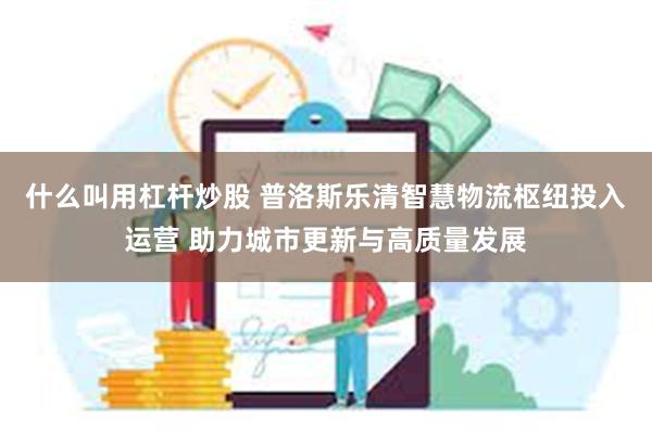 什么叫用杠杆炒股 普洛斯乐清智慧物流枢纽投入运营 助力城市更新与高质量发展