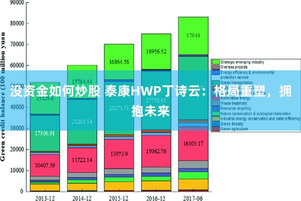 没资金如何炒股 泰康HWP丁诗云：格局重塑，拥抱未来