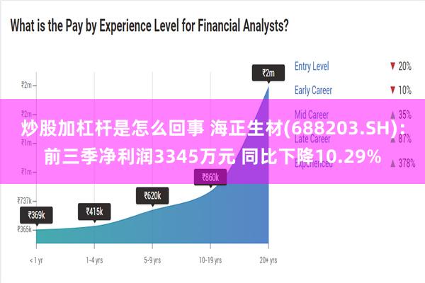 炒股加杠杆是怎么回事 海正生材(688203.SH)：前三季净利润3345万元 同比下降10.29%