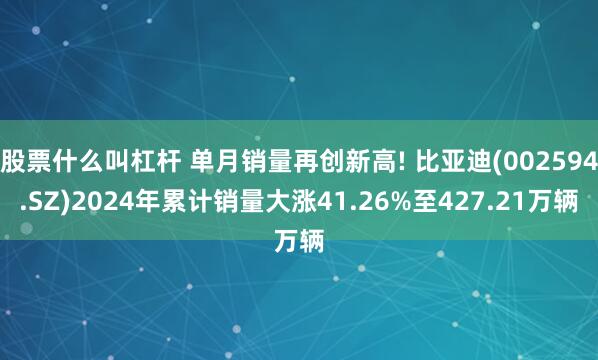 股票什么叫杠杆 单月销量再创新高! 比亚迪(002594.SZ)2024年累计销量大涨41.26%至427.21万辆