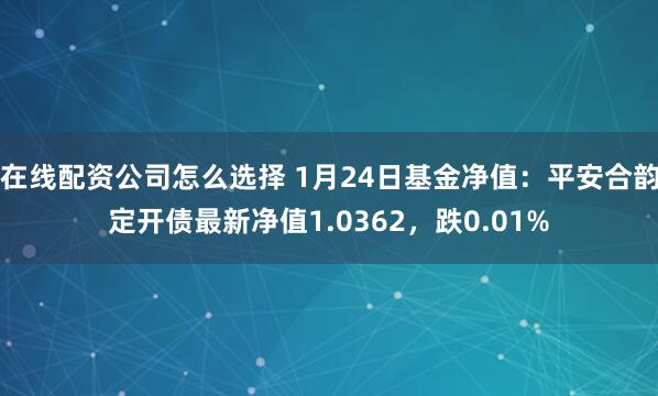 在线配资公司怎么选择 1月24日基金净值：平安合韵定开债最新净值1.0362，跌0.01%