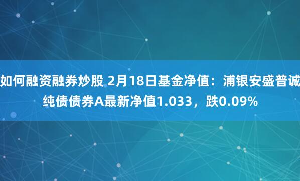 如何融资融券炒股 2月18日基金净值：浦银安盛普诚纯债债券A最新净值1.033，跌0.09%