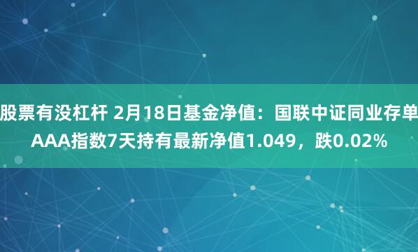 股票有没杠杆 2月18日基金净值：国联中证同业存单AAA指数7天持有最新净值1.049，跌0.02%