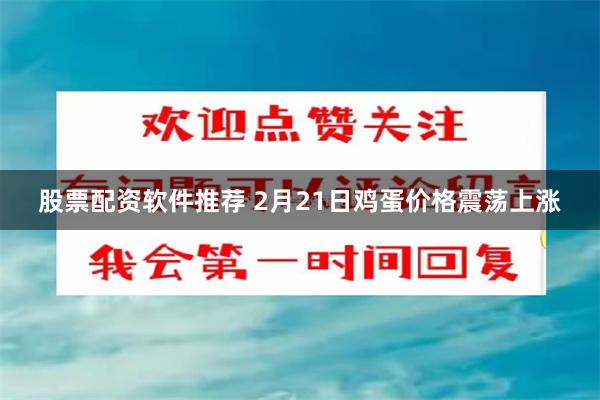 股票配资软件推荐 2月21日鸡蛋价格震荡上涨