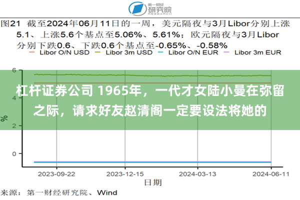 杠杆证券公司 1965年，一代才女陆小曼在弥留之际，请求好友赵清阁一定要设法将她的